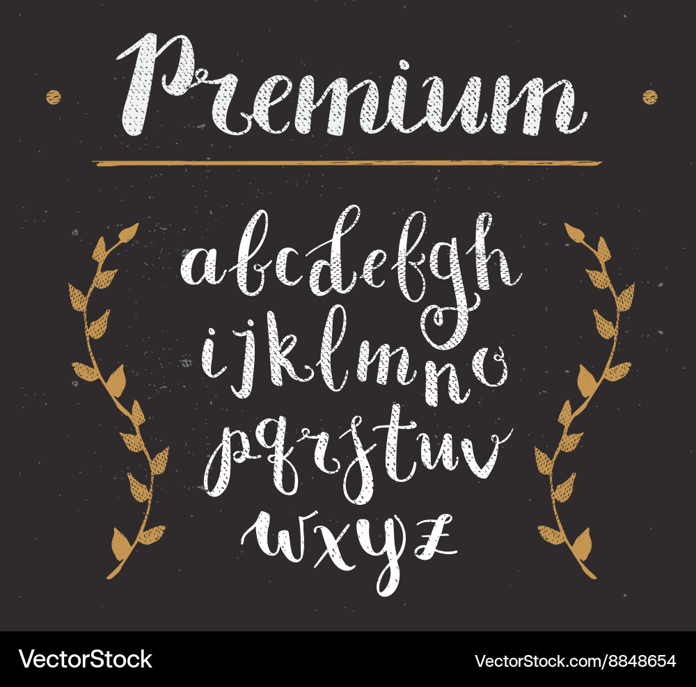 Hand drawn script alphabet letters written vector image