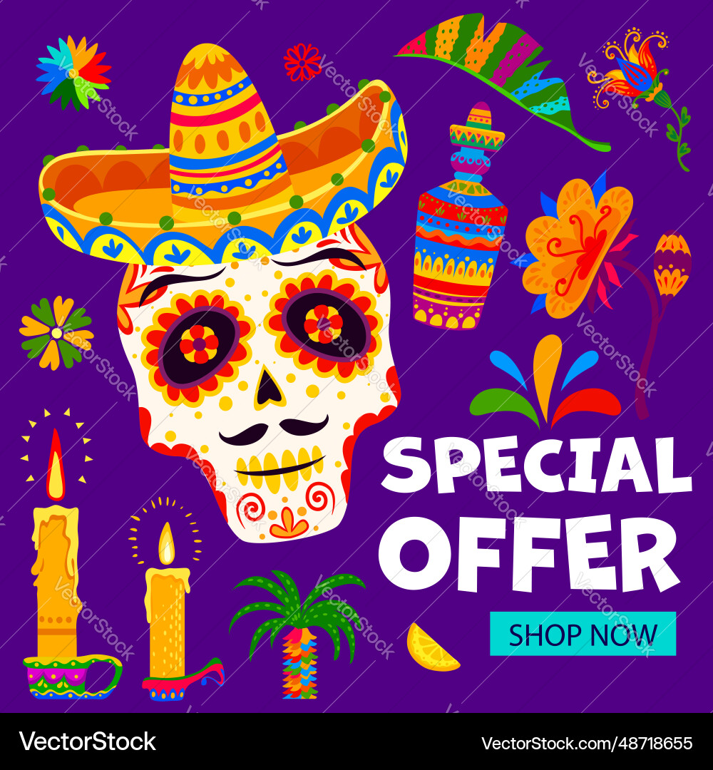 Day of dead mexican holiday special offer banner vector image