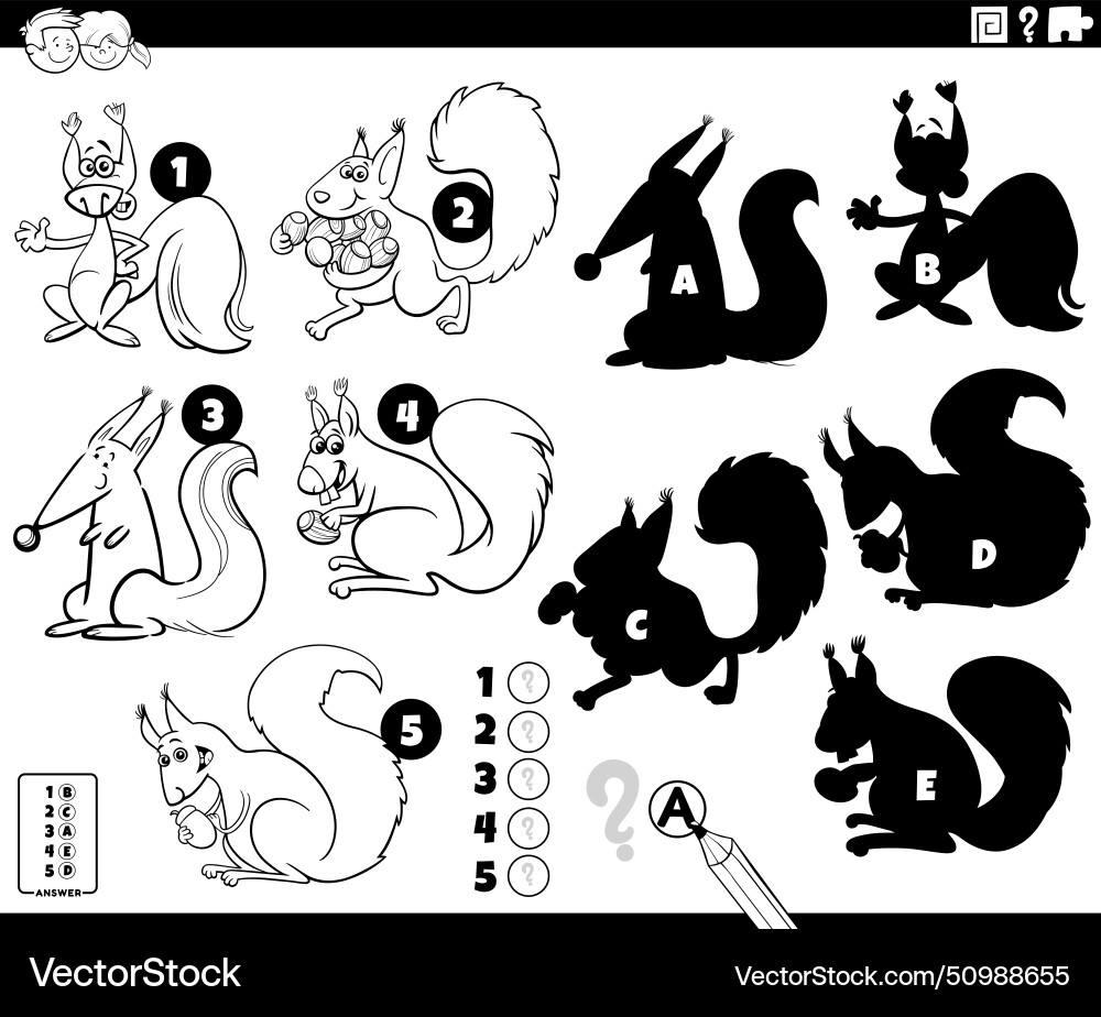 Finding shadows game with cartoon squirrels vector image