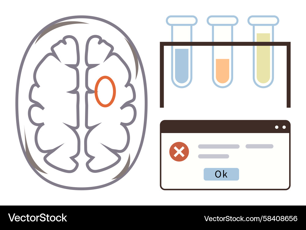 Brain Analysis Test with Error Vector Image