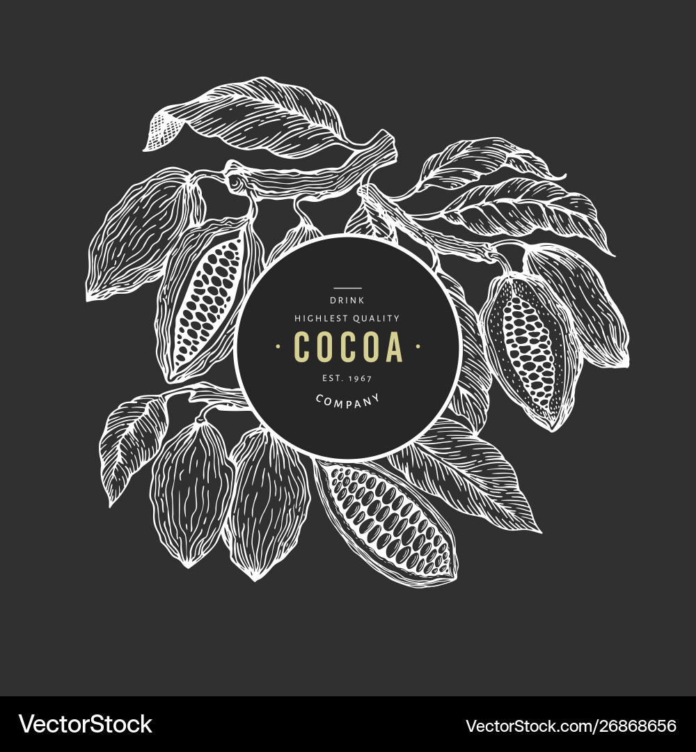 Cocoa bean tree banner template chocolate Vector Image