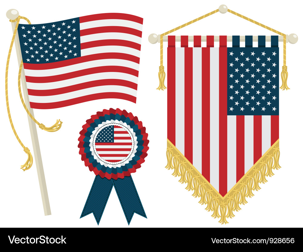 USA Flags and Pennants vector image