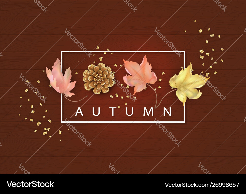 Abstract autumn background Royalty Free Vector Image