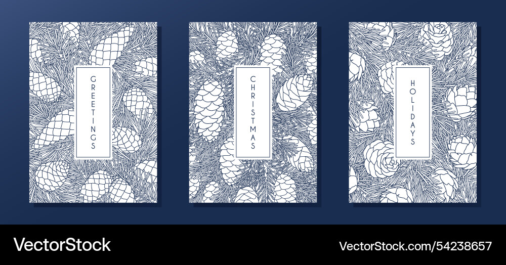 Set of compositions with coniferous branches Vector Image