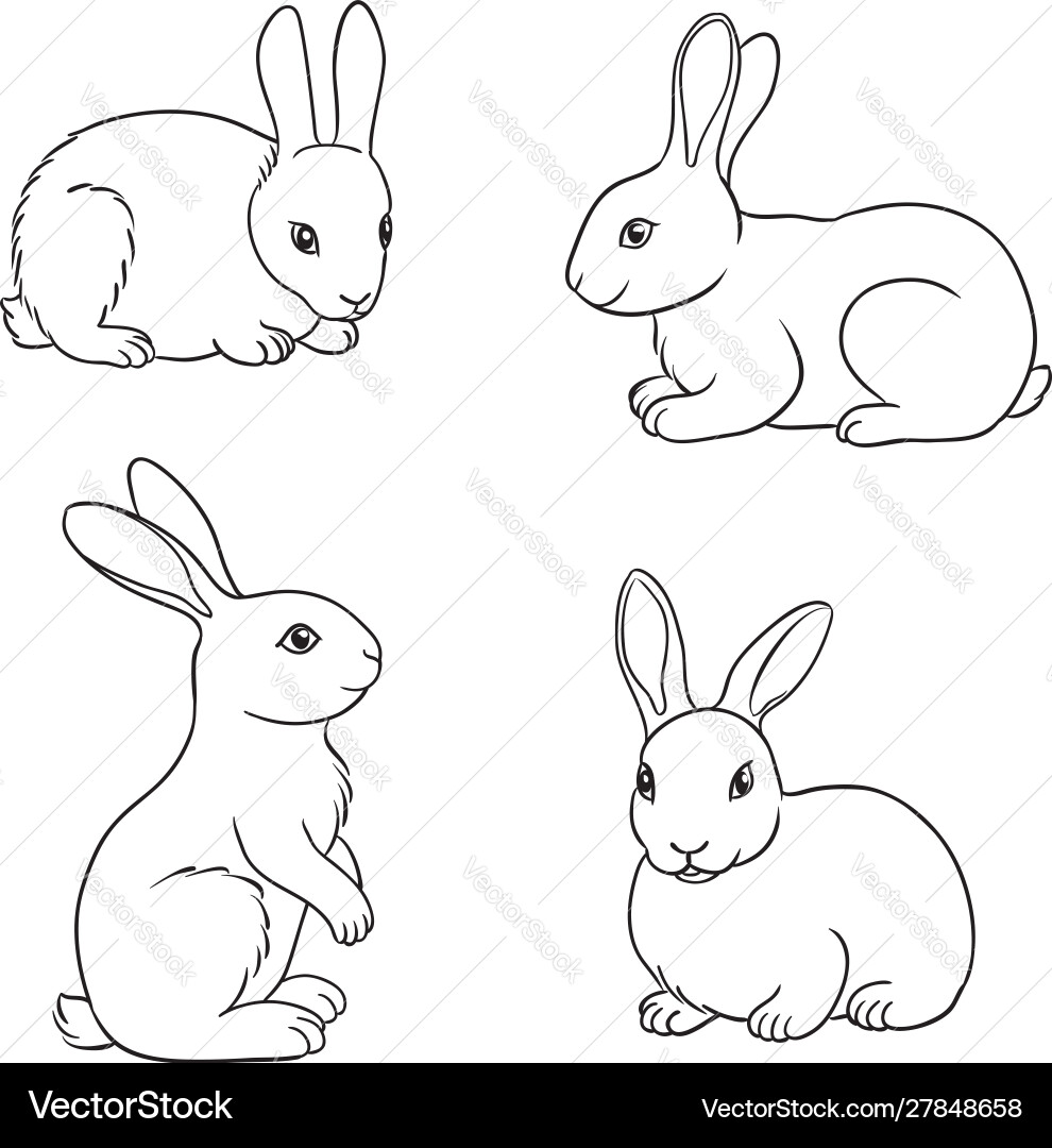 Set rabbits in contours Royalty Free Vector Image