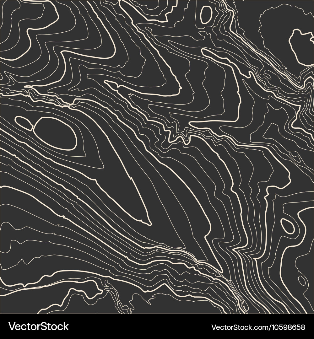 Topographic Map Pattern Vector Image