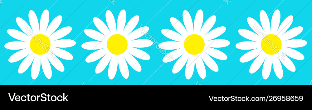 Camomile icon set line four white daisy chamomile Camomile icon set line four white daisy chamomile vector image