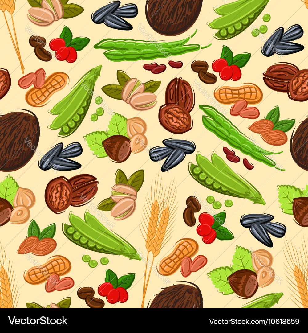 Nut and Seed Seamless Pattern vector image