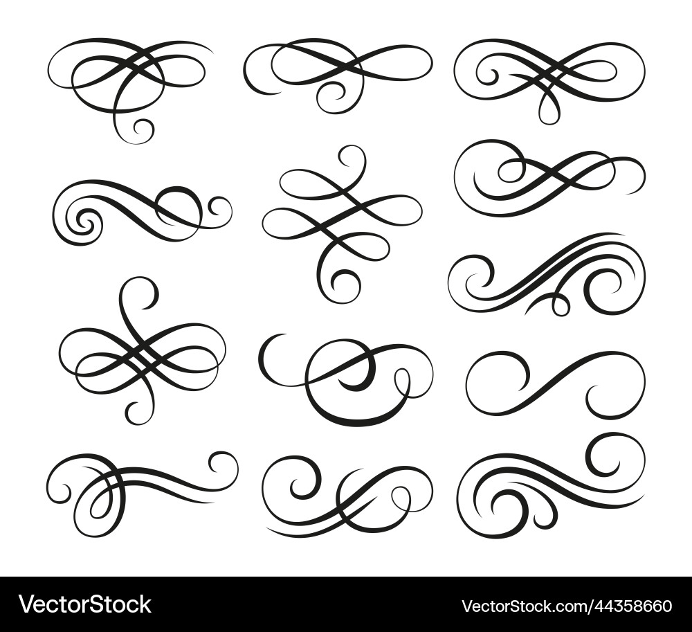Elegant Swirl Filigree Set vector image
