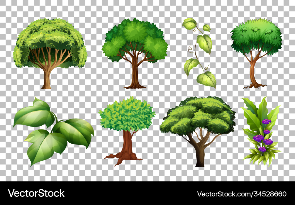 Set tree on transparent background vector image