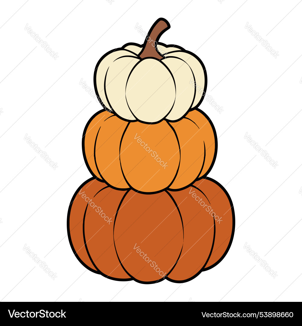 Stack of multicolored pumpkins Vector Image