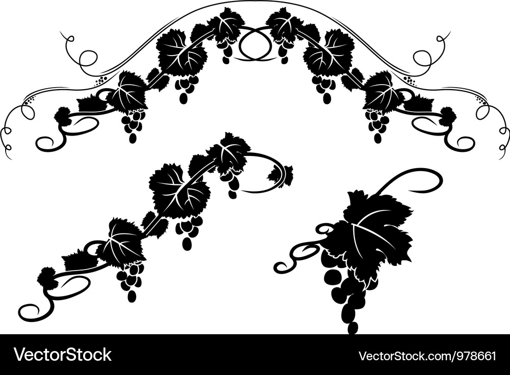 Grape decoration Vector Image