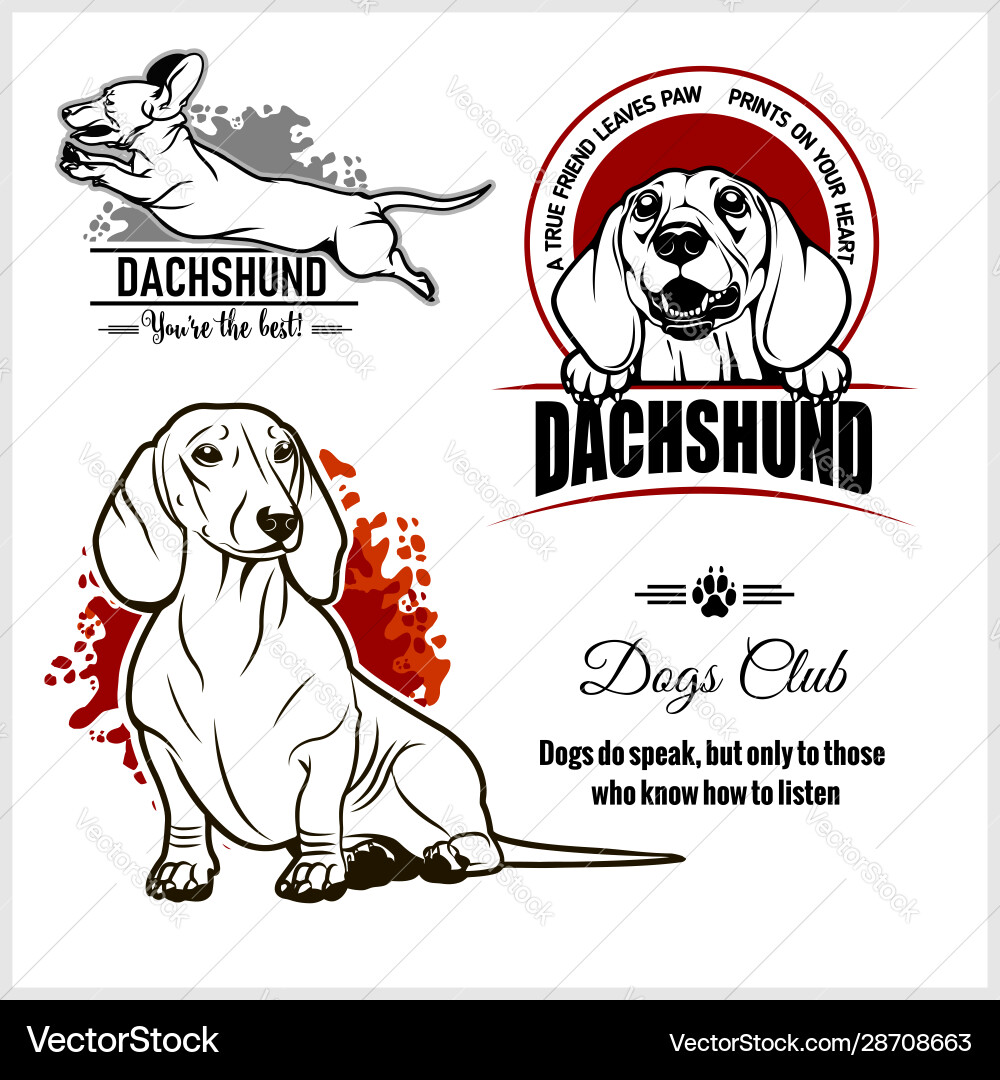 Dachshund Breed Set - Dog Logo Vector Image