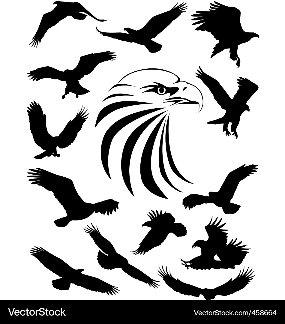 Majestic Eagle Silhouette vector image