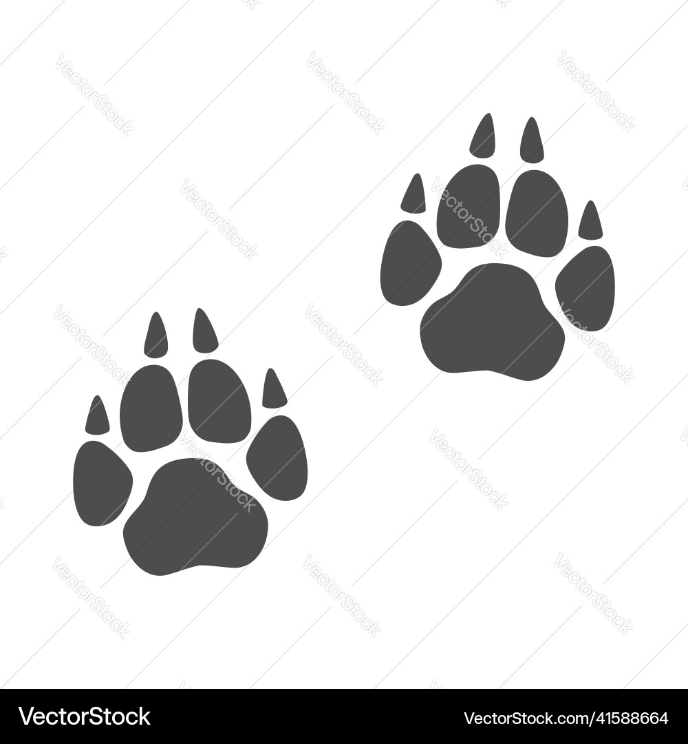 Wolf paw prints Wolf paw prints vector image