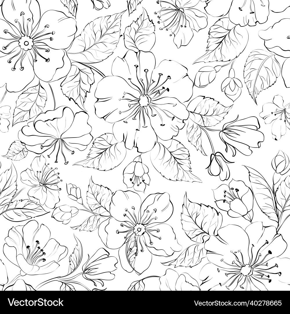 Sakura seamless pattern on white background Sakura seamless pattern on white background vector image
