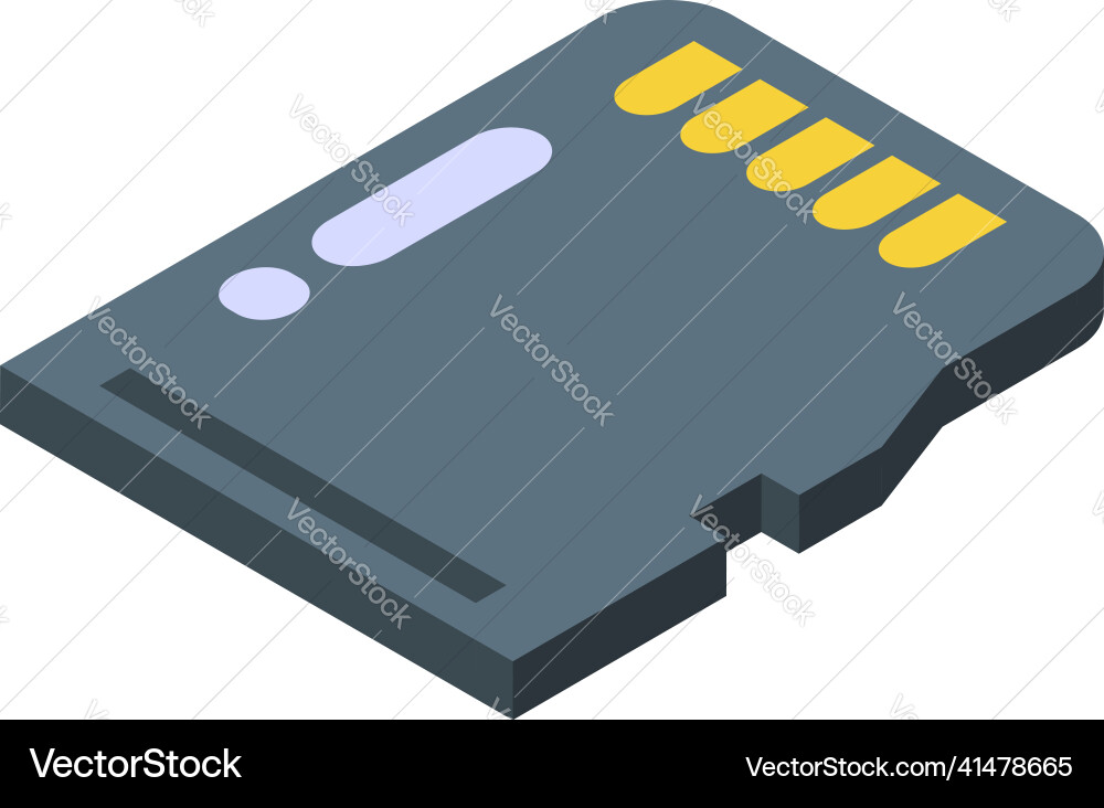 Sd card memory icon isometric camera stick Vector Image