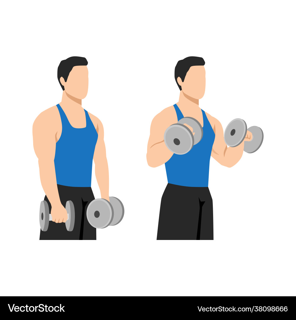 Man doing dumbbell bicep reverse curls exercise Man doing dumbbell bicep reverse curls exercise vector image