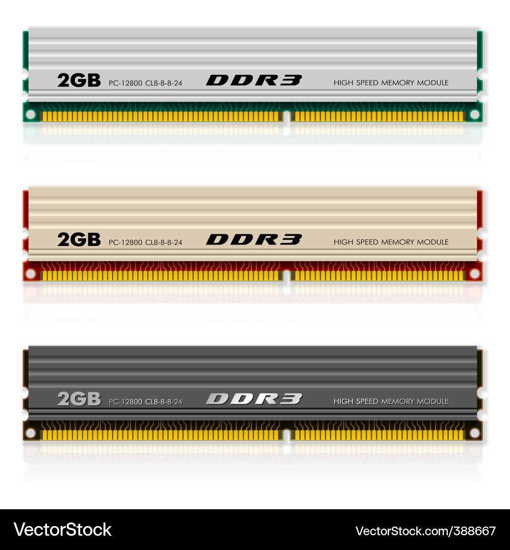Computer Memory Module vector image