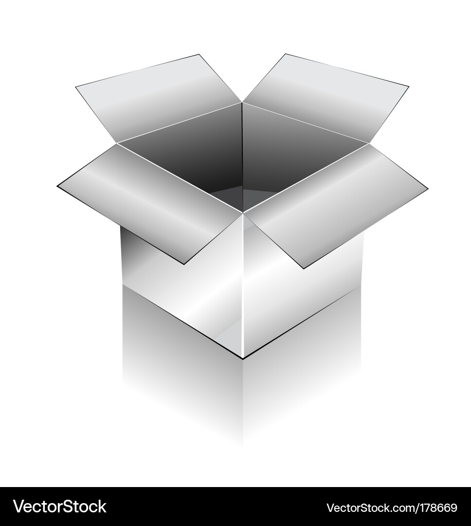 3D Box with Reflection vector image
