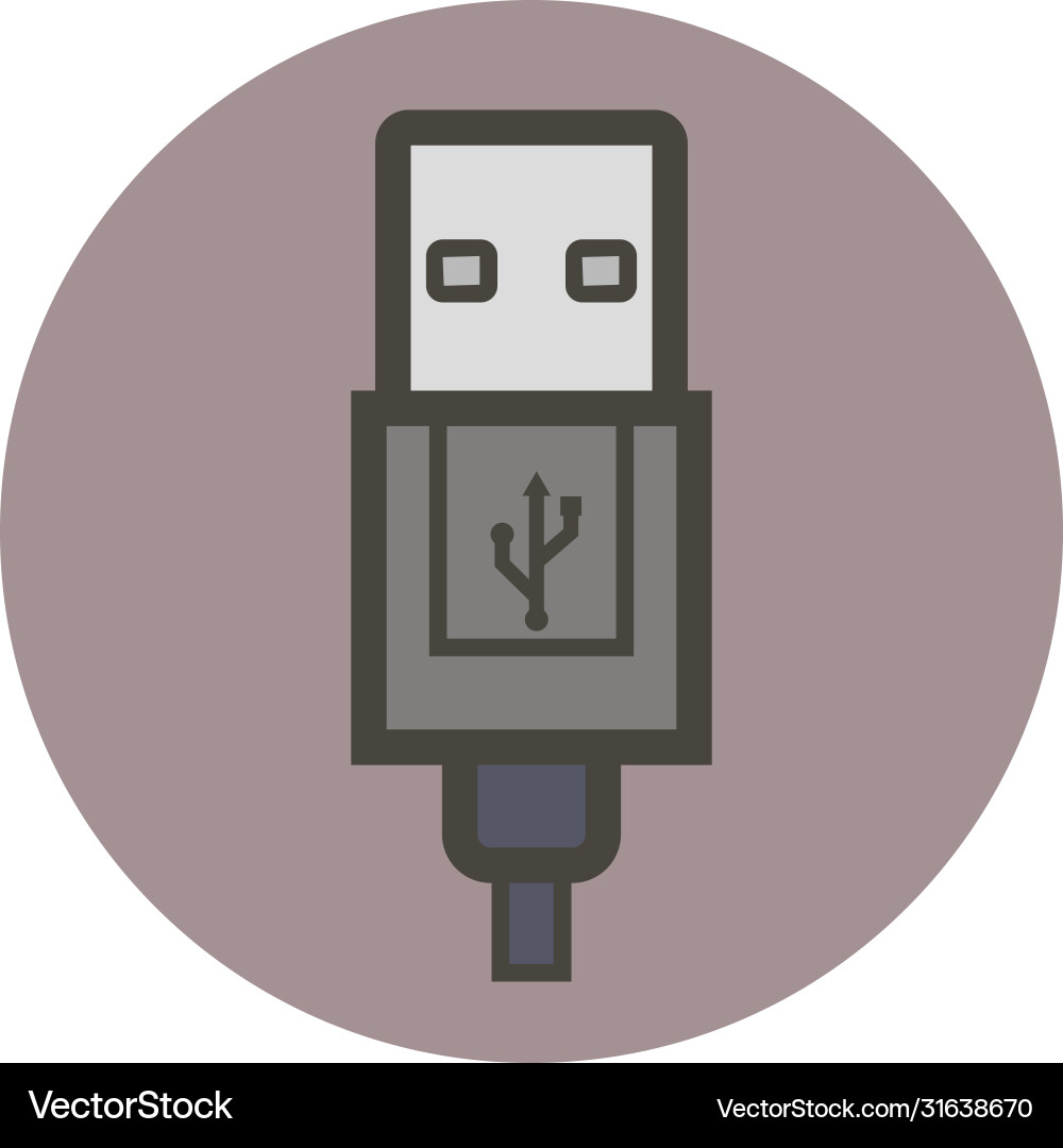 Usb plug Royalty Free Vector Image - VectorStock