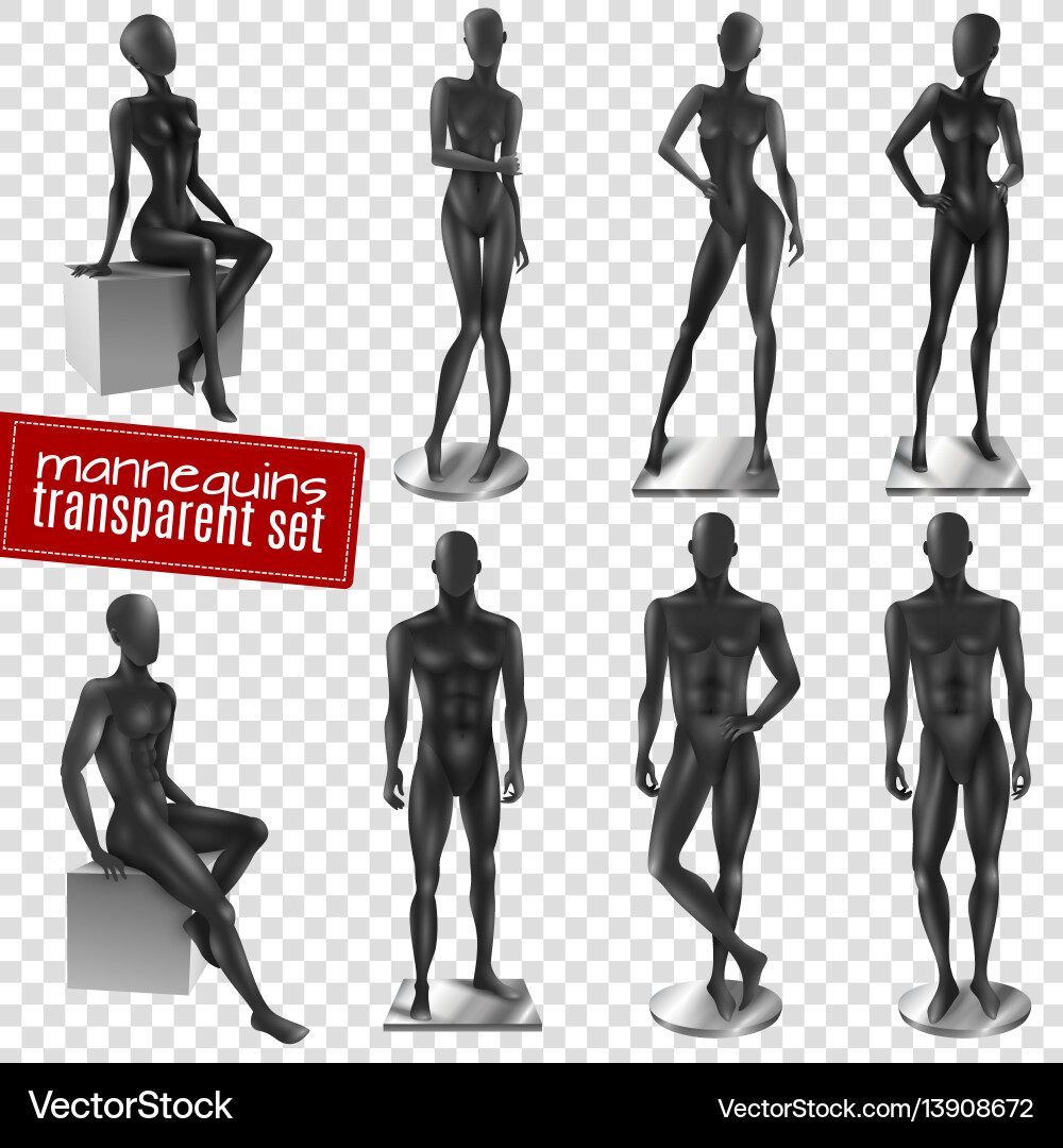 Realistic Mannequin Set - Transparent Background vector image