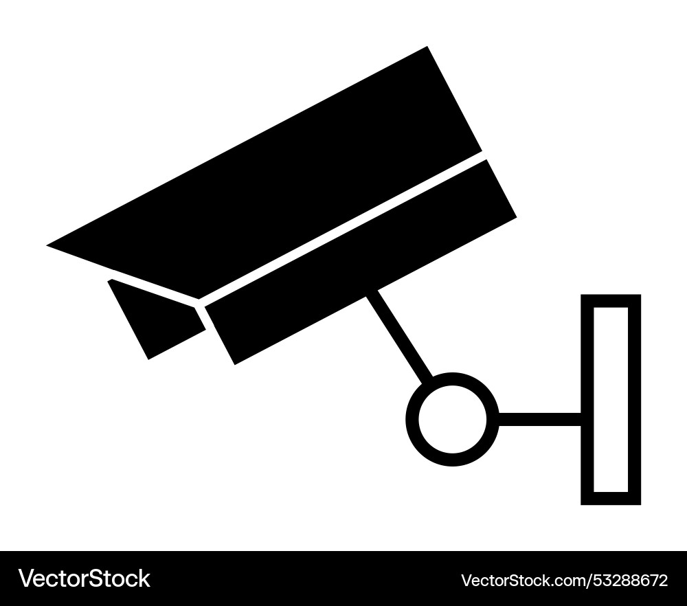 Security camera with simple black and white Vector Image