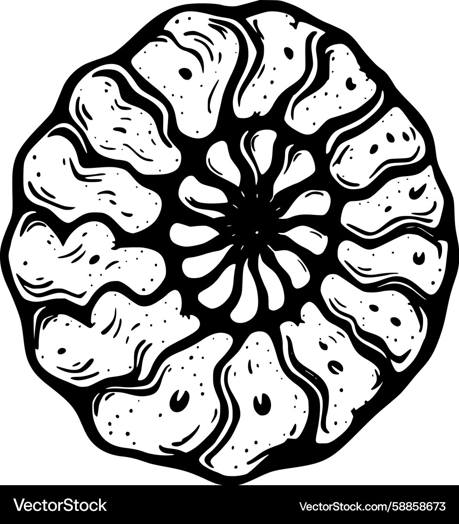 Ammonite fossil pattern Vector Image