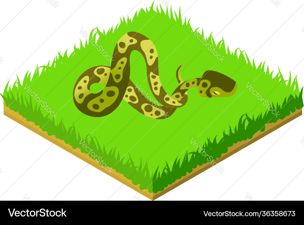 Ball python icon isometric style Ball python icon isometric style vector image