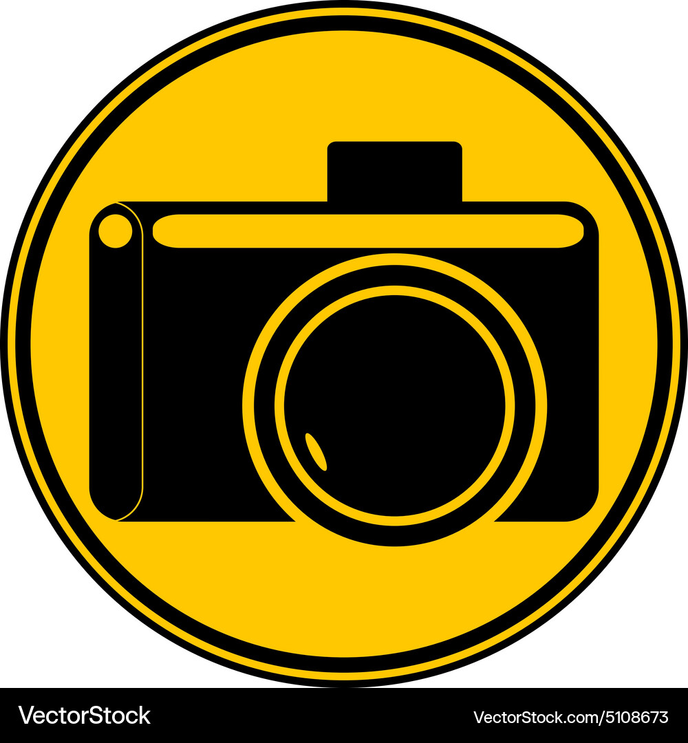 Camera button Vector Image