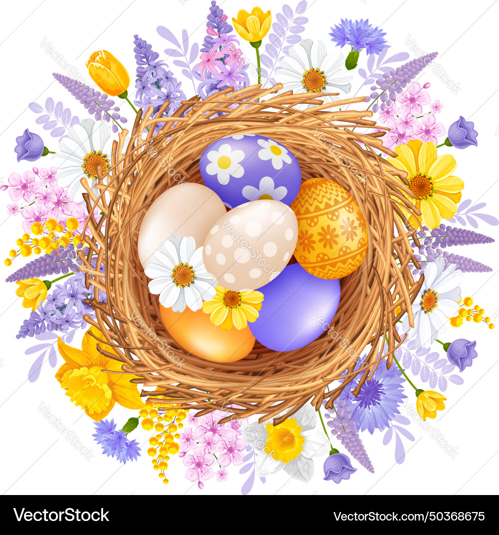 Easter spring design with eggs in the nest Vector Image