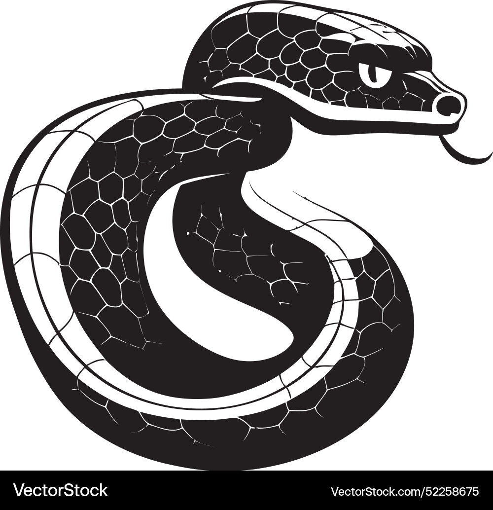 Mystical serpent shadows stylish snake viper coi Vector Image