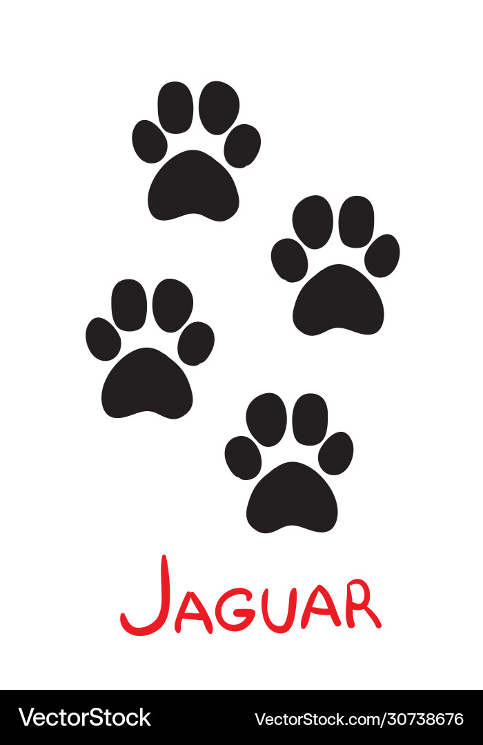 Black Jaguar Tracks Icon Vector Image