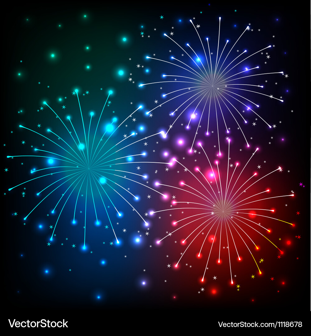 Fireworks Display vector image