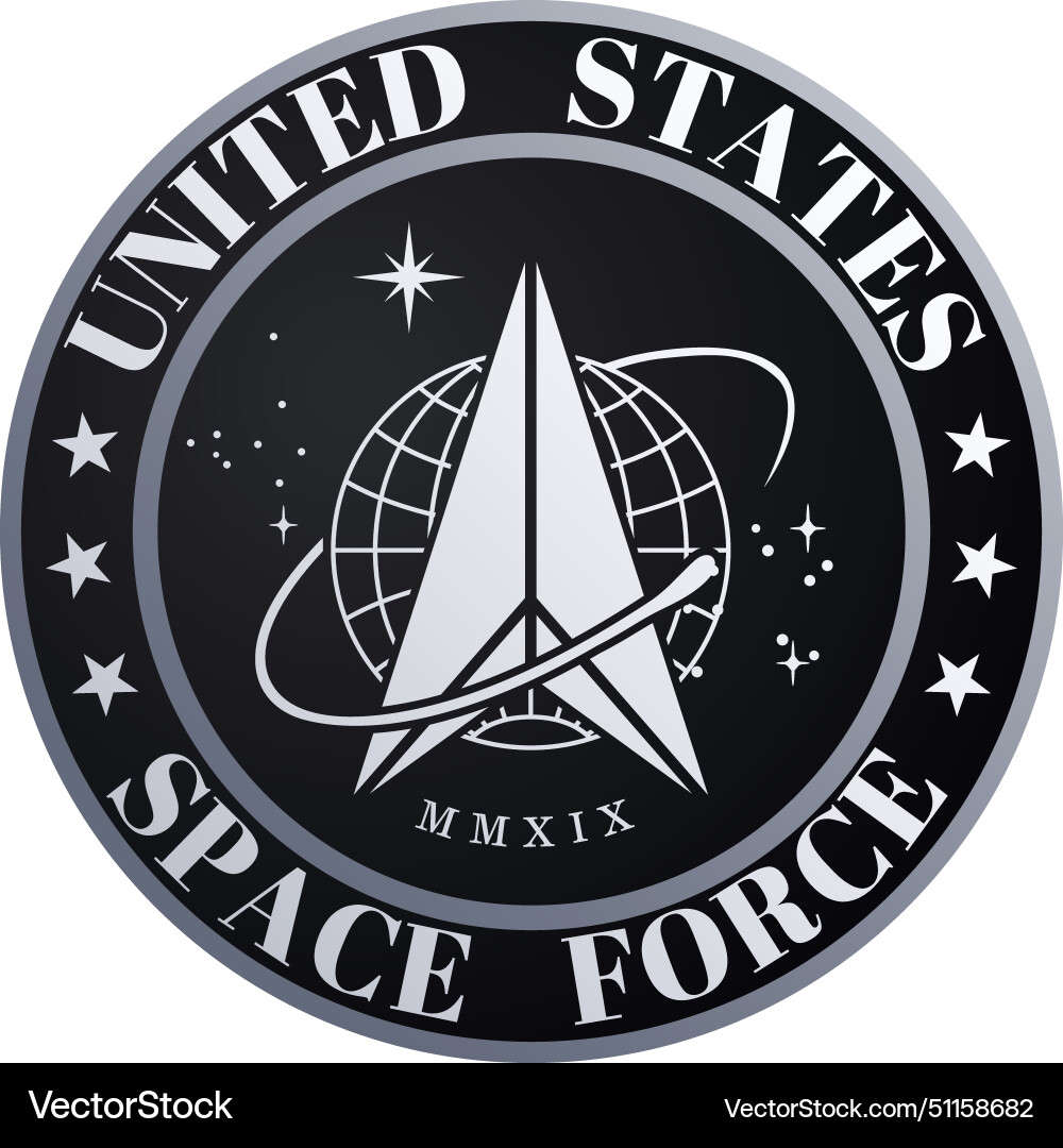 Gray seal of the united states space force vector image