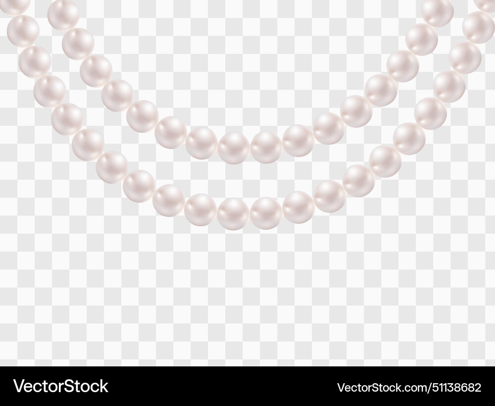 Pearl necklace or bracelet isolated precious Vector Image