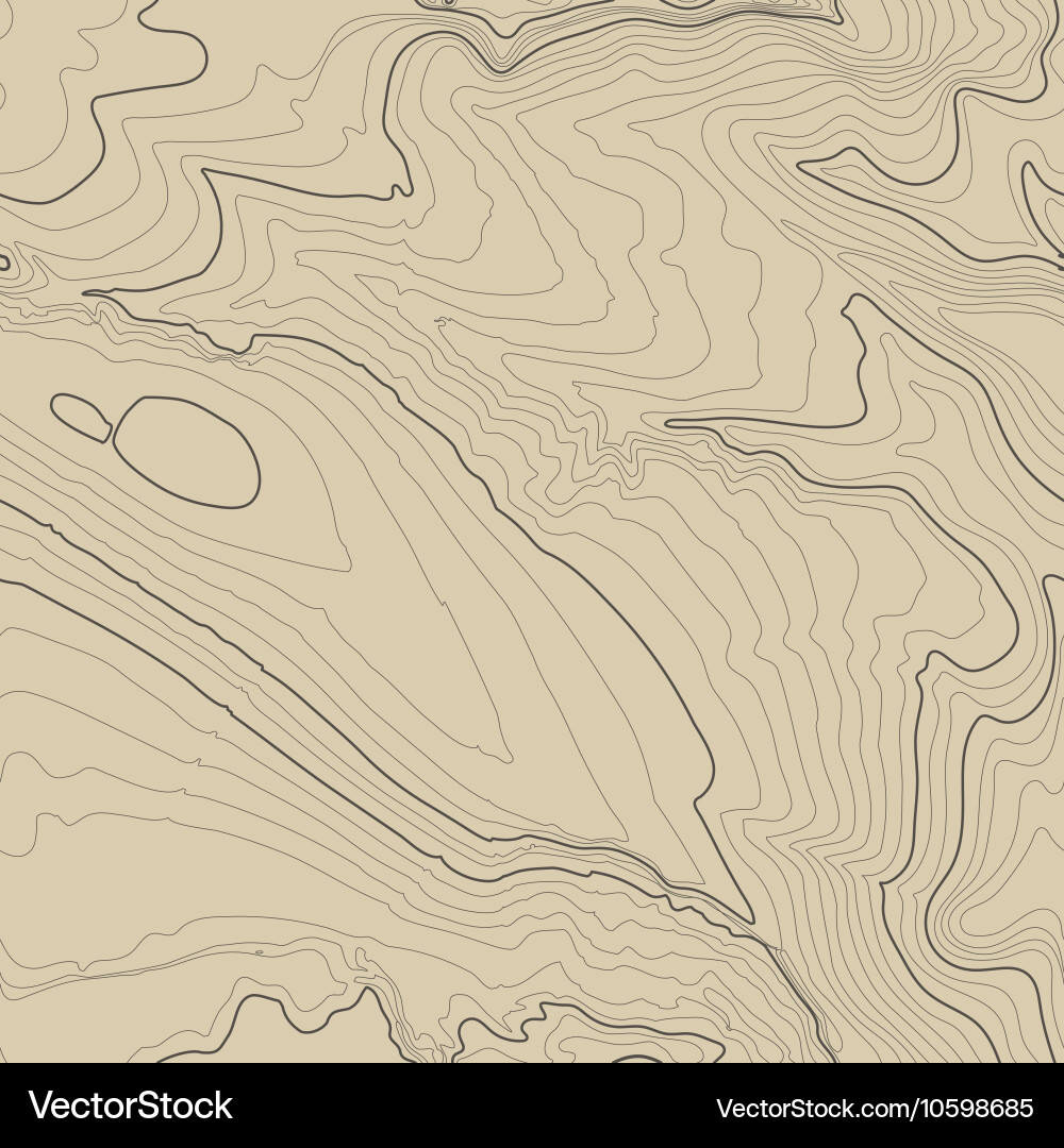 Topographic Map Pattern Background vector image