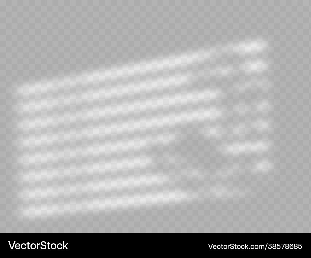 Window jalousie shadow frame and tree branch Window jalousie shadow frame and tree branch vector image