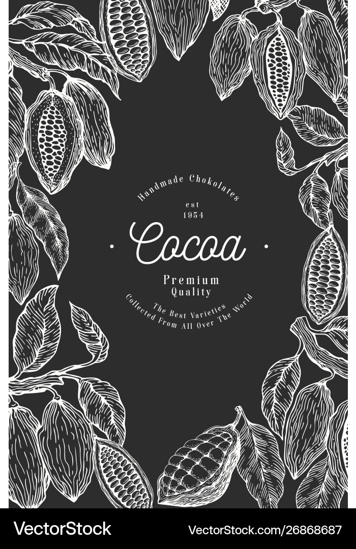 Cocoa bean tree banner template chocolate Cocoa bean tree banner template chocolate vector image
