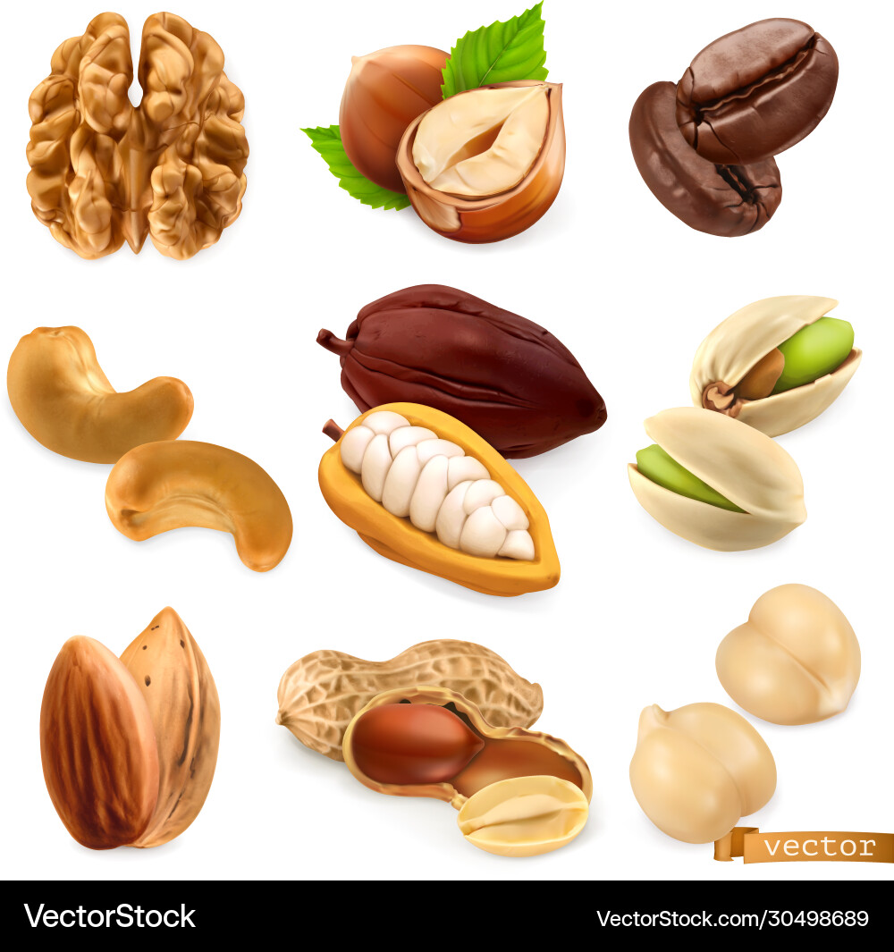 Walnuts Collection Nut Collection: Walnuts, Hazelnuts, & More Vector Image