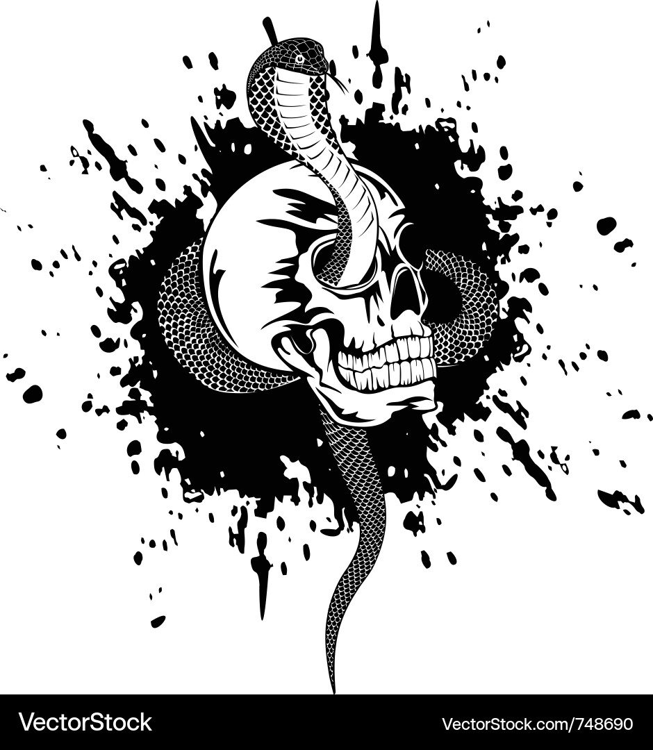 Skull and Serpent Symbol vector image