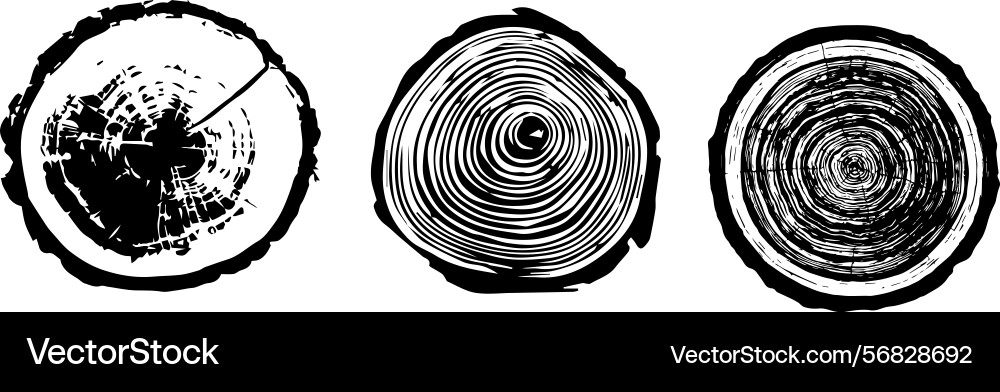 Collection of tree cross-sections set Collection of tree cross-sections set vector image