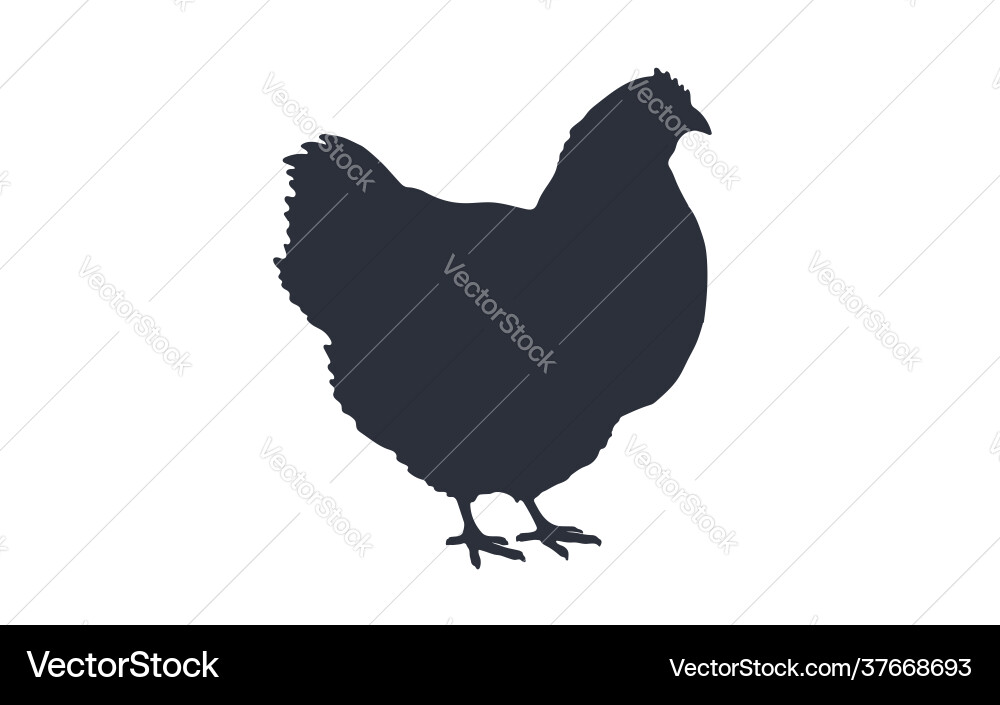 Hen Silhouette - Black & White Vector Image