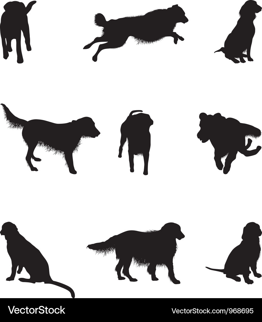 Dog silhouettes vector image