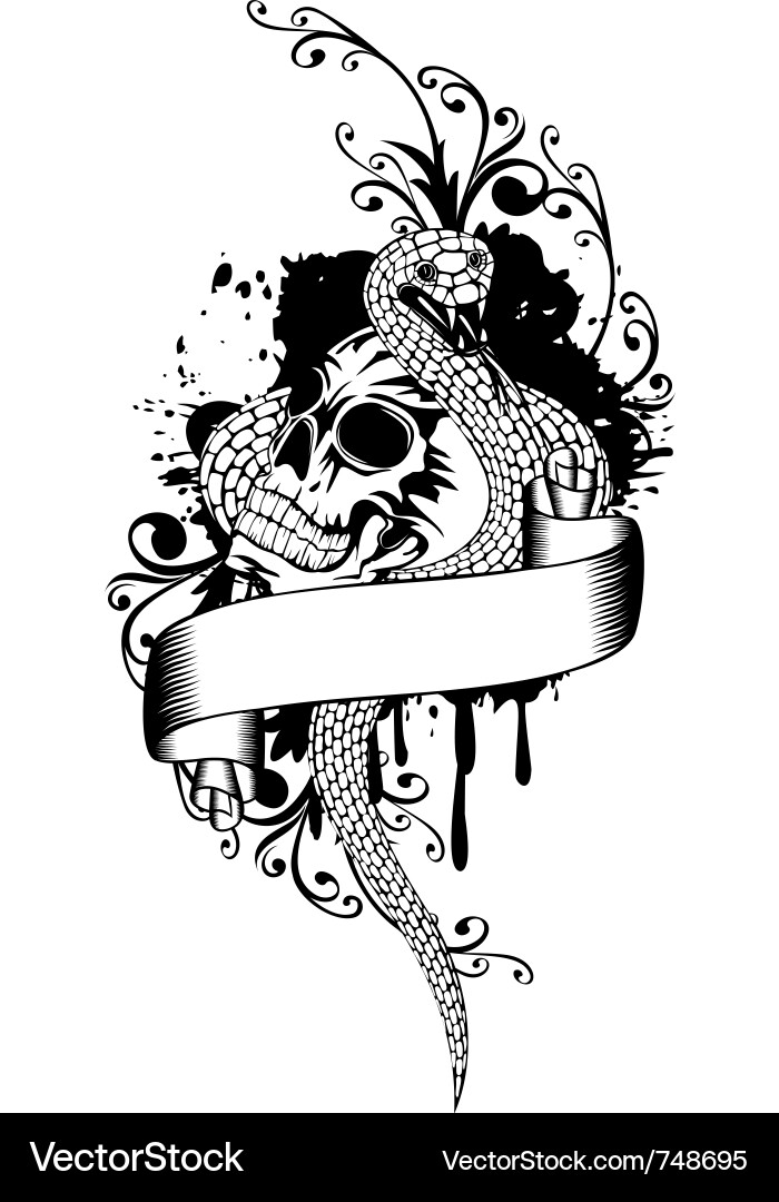 Skull with Snake Motif vector image