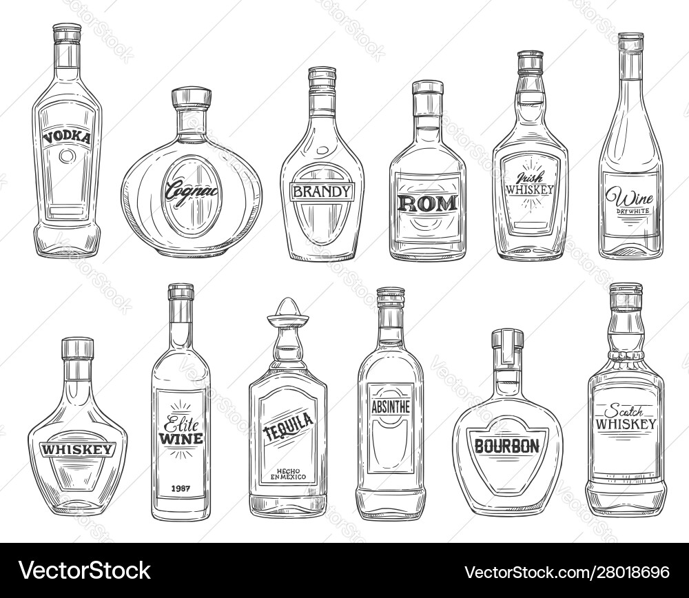 Drinks and alcohol beverages sketch bottles vector image