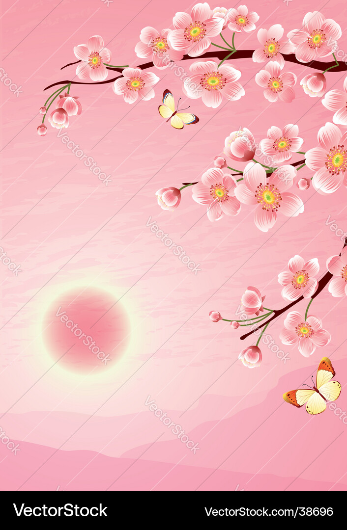 Kirschblüten Frühling Vektorbild