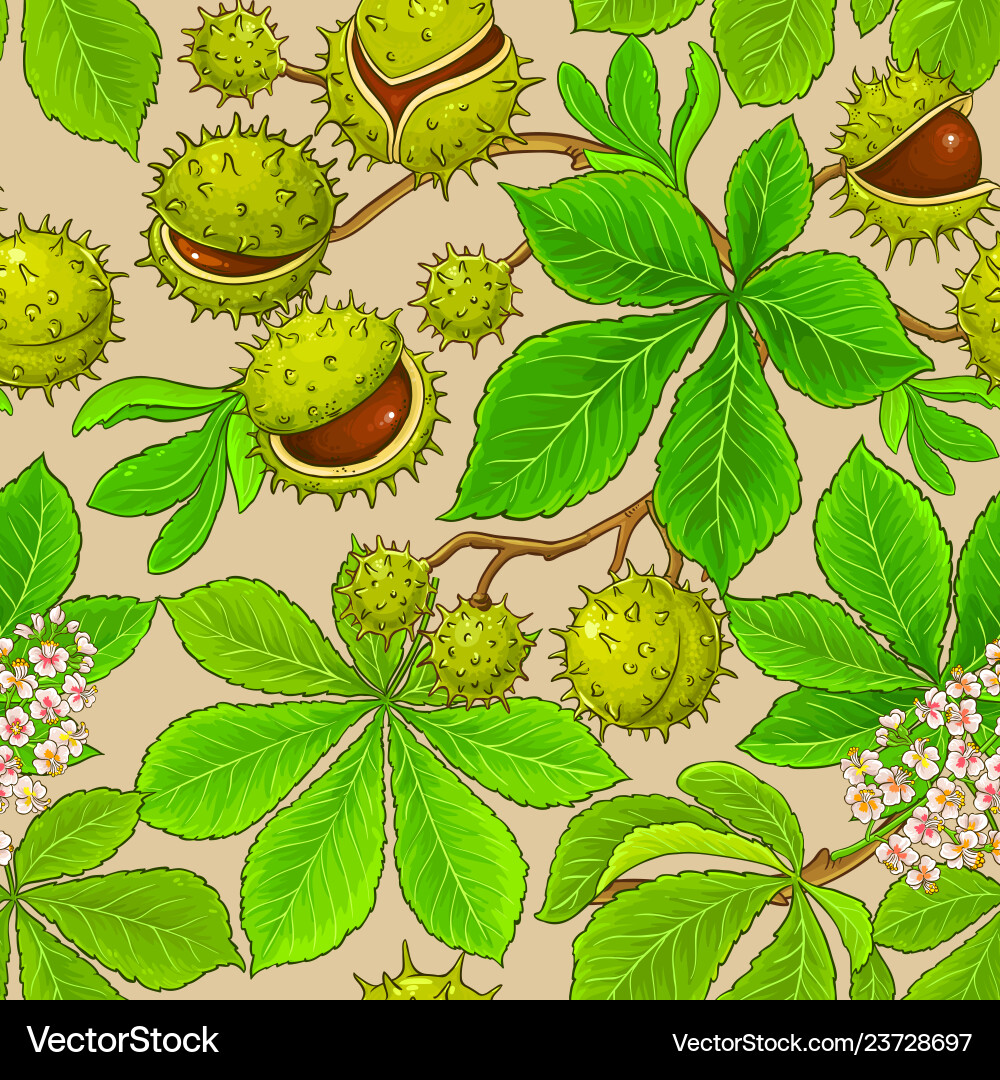 Chestnut Branch Pattern vector image