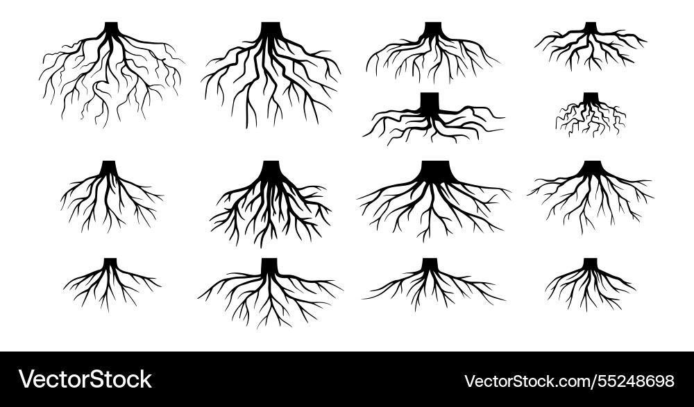 Various realistic tree roots shrub parts – Royalty-Free Vector ...