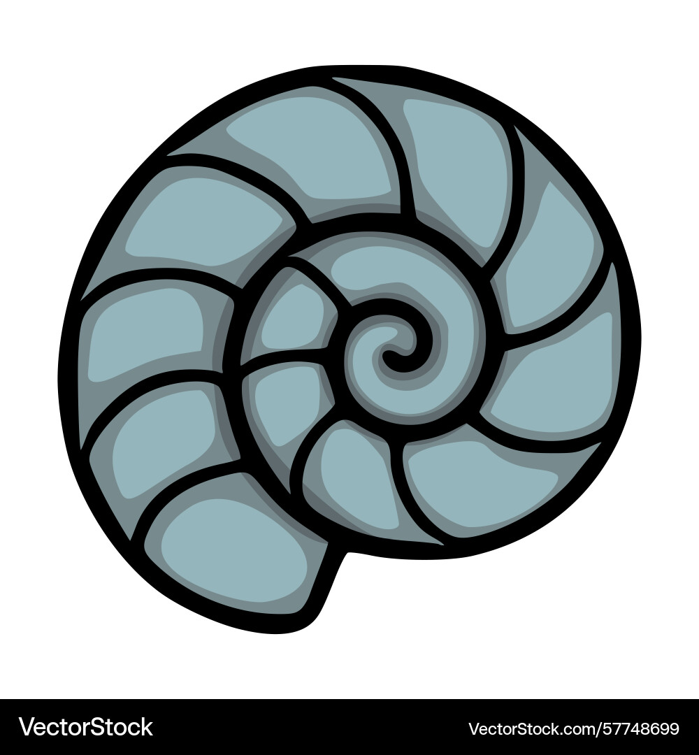 A stylized of nautilus shell with segmented A stylized of nautilus shell with segmented Vector Image